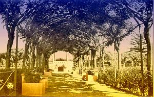 RIO SALADO 509  SQUARE ET PERGOLA